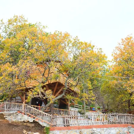 Le Casette Sull'albero Di Alba 山林小屋 *