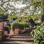 Le Casette Sull'albero Di Alba *