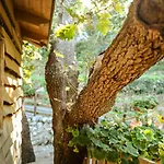 Le Casette Sull'albero Di Alba Hytte *
