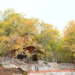 Le Casette Sull'albero Di Alba Hytte *