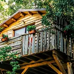 Le Casette Sull'albero Di Alba Hytte