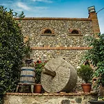 Le Casette Sull'albero Di Alba * Messina