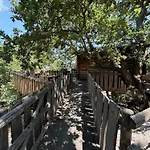 Le Casette Sull'albero Di Alba Hytte