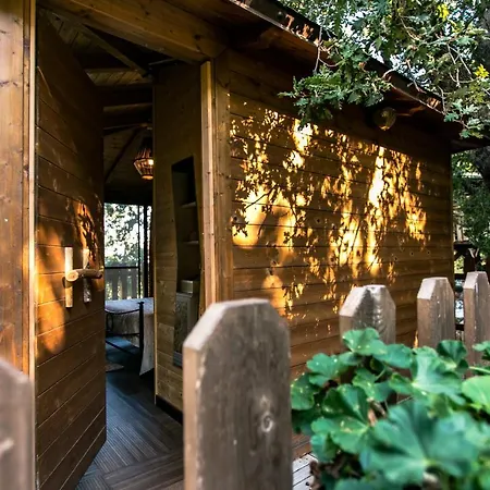 Le Casette Sull'albero Di Alba Messina