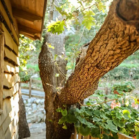Le Casette Sull'albero Di Alba Lodge *