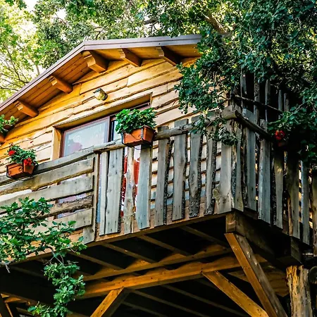 Le Casette Sull'albero Di Alba Lodge