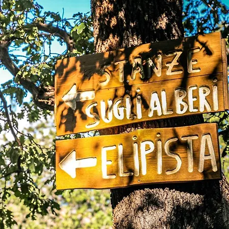 Le Casette Sull'albero Di Alba * Messina