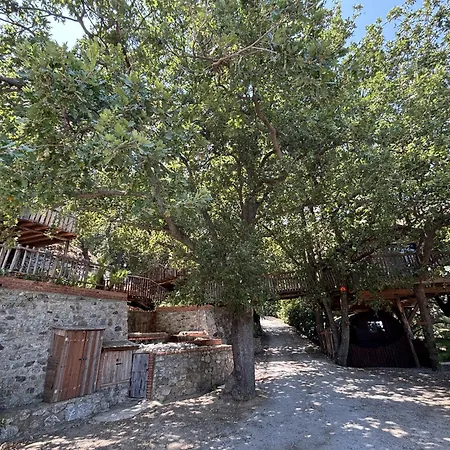 Lodge Le Casette Sull'albero Di Alba