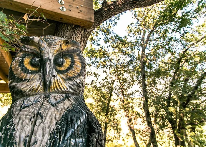 Lodge Le Casette Sull'albero Di Alba