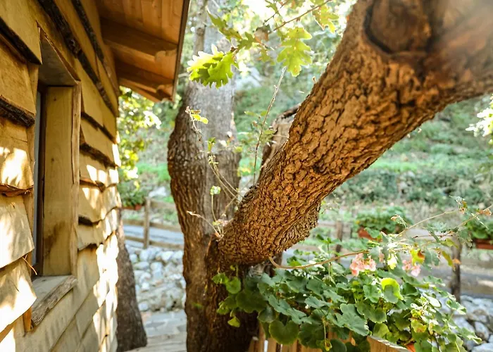 Le Casette Sull'albero Di Alba Lodge *