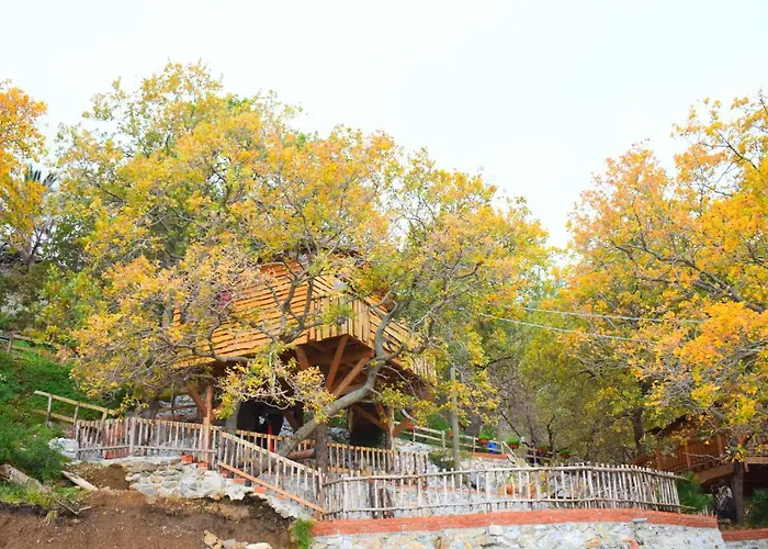 Le Casette Sull'albero Di Alba Lodge *