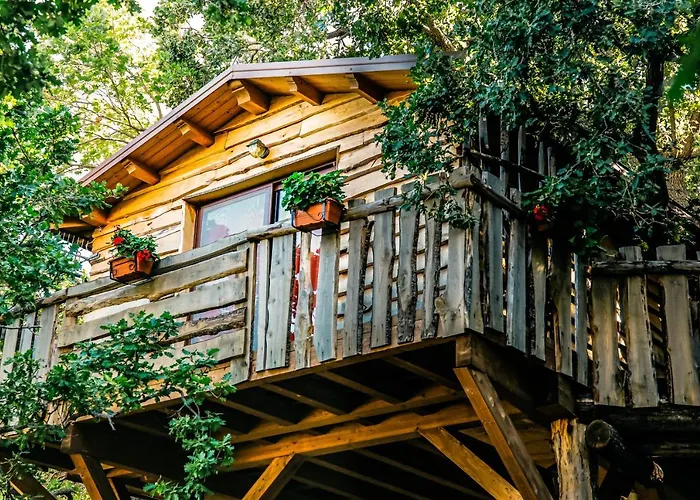 Le Casette Sull'albero Di Alba Lodge