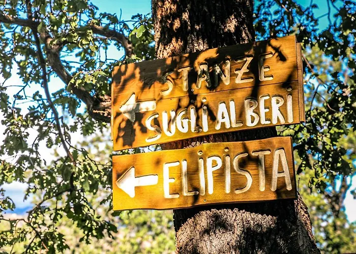 Le Casette Sull'albero Di Alba * Messina