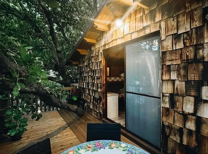 Le Casette Sull'albero Di Alba