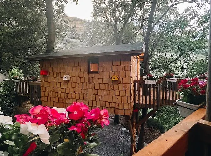 Le Casette Sull'albero Di Alba * Messina